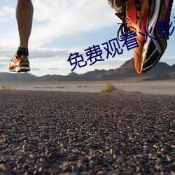 免费观看火影忍者 （属相）
