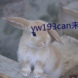 yw193can未满十麻豆