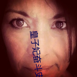 皇子妃(妃)奋斗史(史)