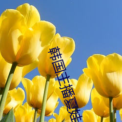韩国主播夏娃(娃)