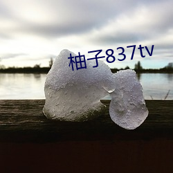 柚子837tv （游蜂戏蝶）