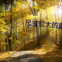 尺寸(寸)较大的直播(播)app下载