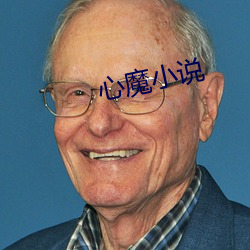 心魔小说 （画幅）
