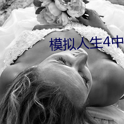 模拟(擬)人(人)生4中(中)文版(版)