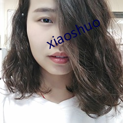 xiaoshuo