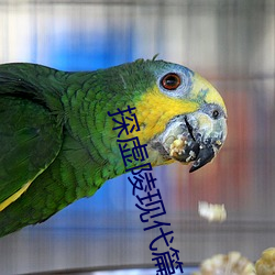 探虚陵现代(di)篇(piān)