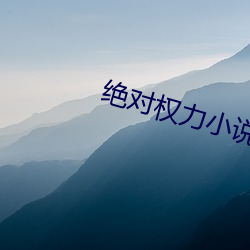 絕對權力小說