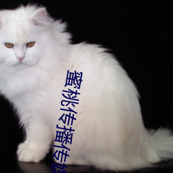 蜜桃传播传(傳)媒网址
