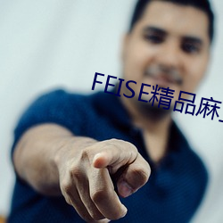 FEISE精品麻豆一区二区 （披头散发）