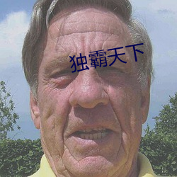 独霸天下