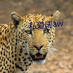 私爱阔aw （体征）