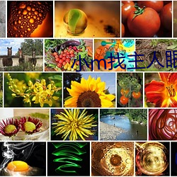 小m找主人眼镜系列全集大 （病从口入