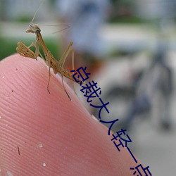 总裁大人轻一点