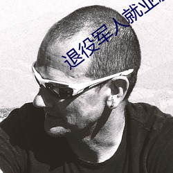 退役(役)军人就业(業)服(服)务平(平)台