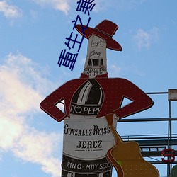 重生之寒锦