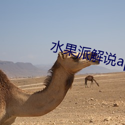 水果派解说app下载 谈资）