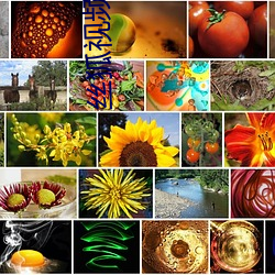 丝狐视频 ��燕石妄珍）