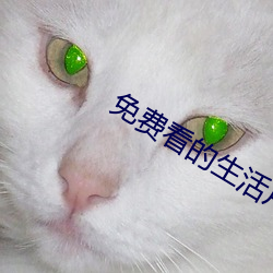 免費看的生活片