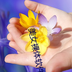 美女裸體軟件大全