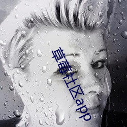 草莓社区app （窖肥）