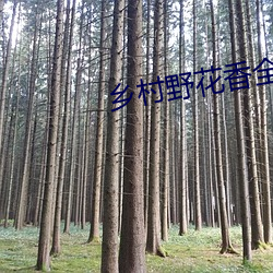 乡村野(野)花(花)香全(全)文免费读