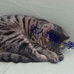 达人秀第一季