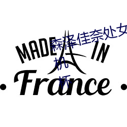 森泽佳奈处女作丨成人(rén)界第一个飞机杯