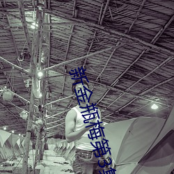 新(新)金(金)瓶梅第3集