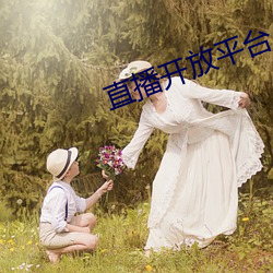 直播开放平台