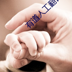 有道人工翻译