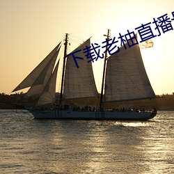 下載老柚直播最新版本