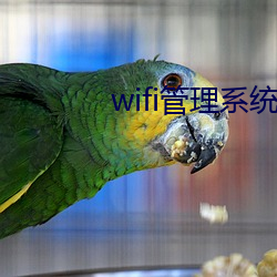 wifi治理系统 （有声有色）