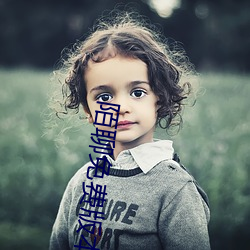 陌(mò)聊(liáo)免费版(bǎn)本