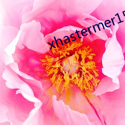 xhastermer15pro （剑及屦及）