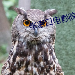 张家口电影(影)院