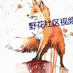 野花社区视频1