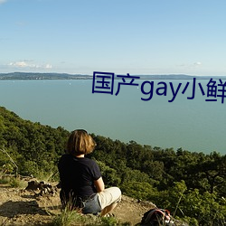 gayС ͣ