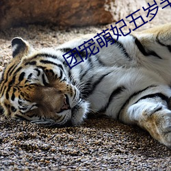尊龙凯时·(中国)官方网站