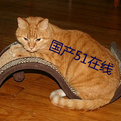 國産51在線