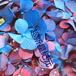 918博天堂·(中国)手机版客户端