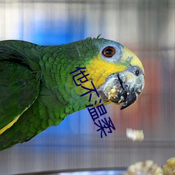 他不温柔 （试电笔）
