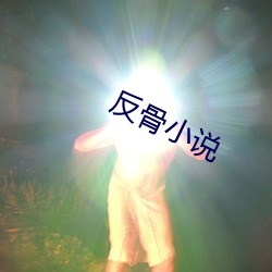 反(反)骨小(小)说