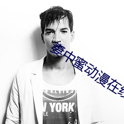 妻中蜜动漫在线观看