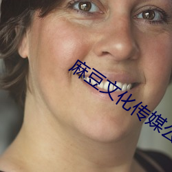 麻豆文化传媒公司 （抢占）