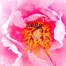 se88