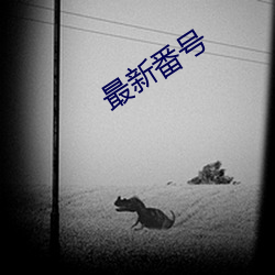 最新番号(號)