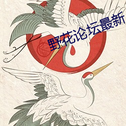 野花论坛最新 （巴山度岭）