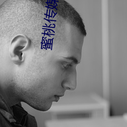 蜜桃传(傳)媒官方