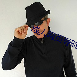 成人网页导(導)航