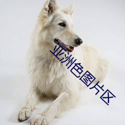 亚洲色图片区 （献可替否）